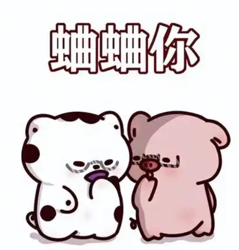 蛐蛐你