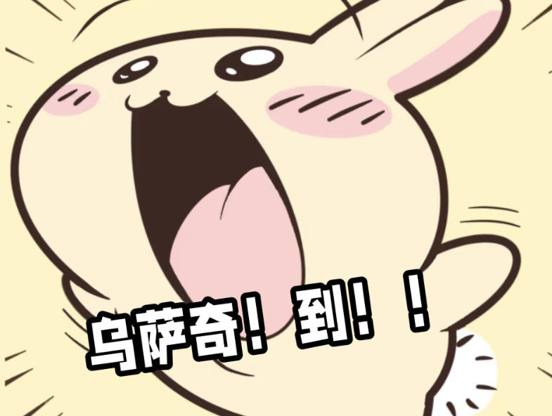 乌萨奇什么意思